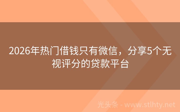 2026年热门借钱只有微信，分享5个无视评分的贷款平台