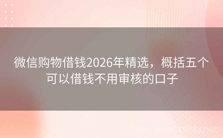 微信购物借钱2026年精选，概括五个可以借钱不用审核的口子