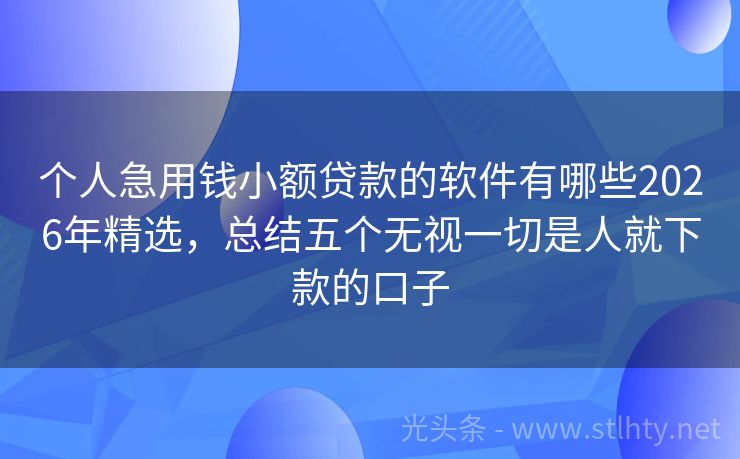 个人急用钱小额贷款的软件有哪些2026年精选，总结五个无视一切是人就下款的口子
