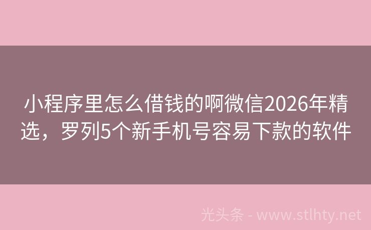 小程序里怎么借钱的啊微信2026年精选，罗列5个新手机号容易下款的软件