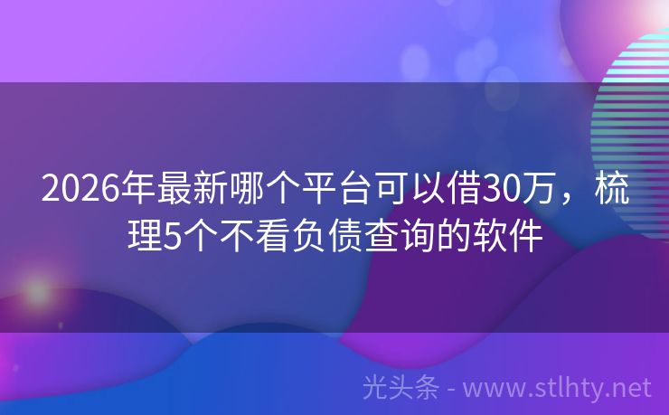 2026年最新哪个平台可以借30万，梳理5个不看负债查询的软件
