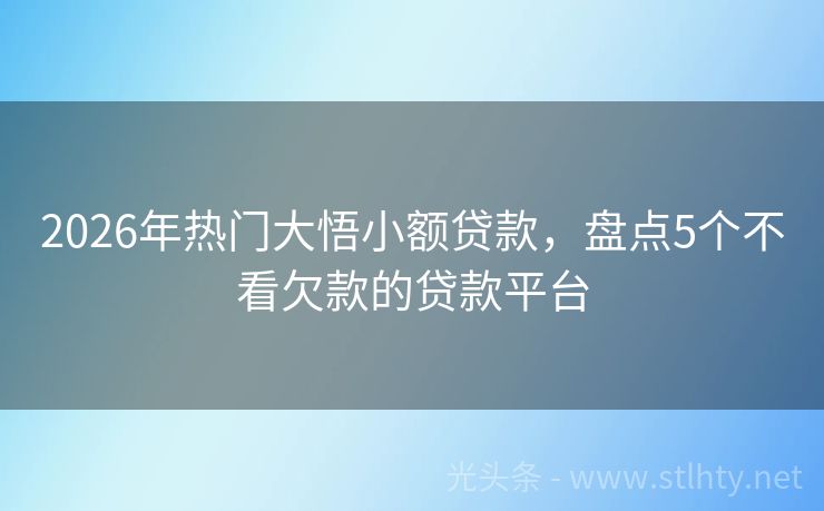 2026年热门大悟小额贷款，盘点5个不看欠款的贷款平台
