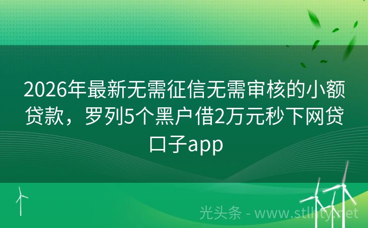 2026年最新无需征信无需审核的小额贷款，罗列5个黑户借2万元秒下网贷口子app