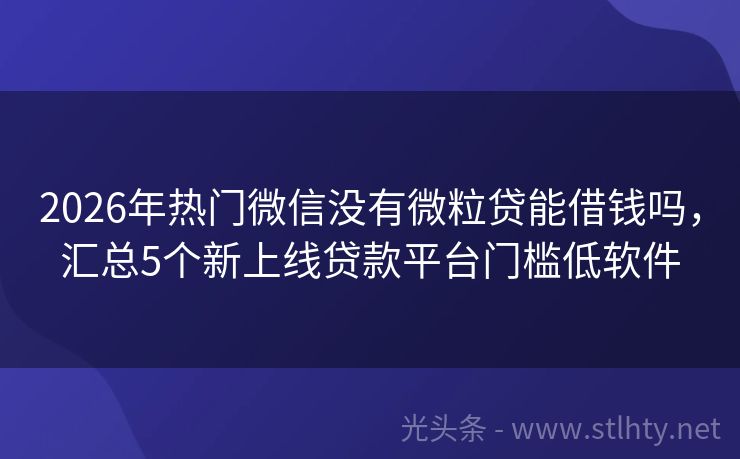 2026年热门微信没有微粒贷能借钱吗，汇总5个新上线贷款平台门槛低软件