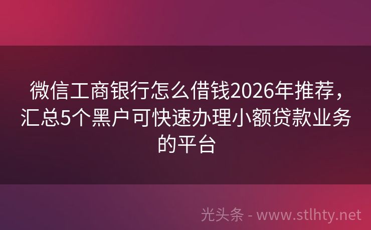 微信工商银行怎么借钱2026年推荐，汇总5个黑户可快速办理小额贷款业务的平台