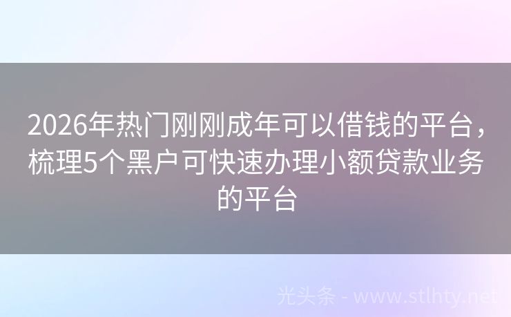 2026年热门刚刚成年可以借钱的平台，梳理5个黑户可快速办理小额贷款业务的平台