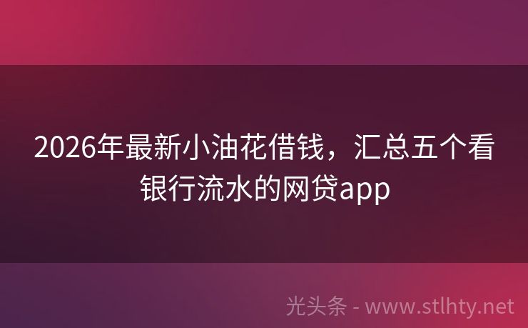 2026年最新小油花借钱，汇总五个看银行流水的网贷app