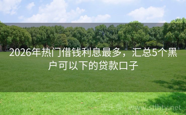 2026年热门借钱利息最多，汇总5个黑户可以下的贷款口子