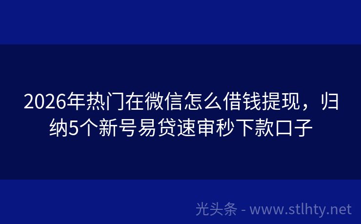 2026年热门在微信怎么借钱提现，归纳5个新号易贷速审秒下款口子