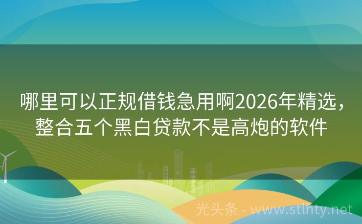 哪里可以正规借钱急用啊2026年精选，整合五个黑白贷款不是高炮的软件