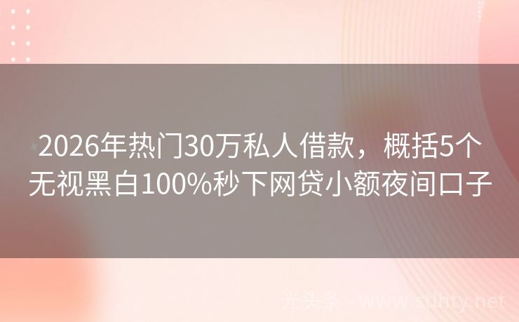 2026年热门30万私人借款，概括5个无视黑白100%秒下网贷小额夜间口子