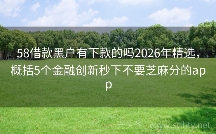 58借款黑户有下款的吗2026年精选，概括5个金融创新秒下不要芝麻分的app
