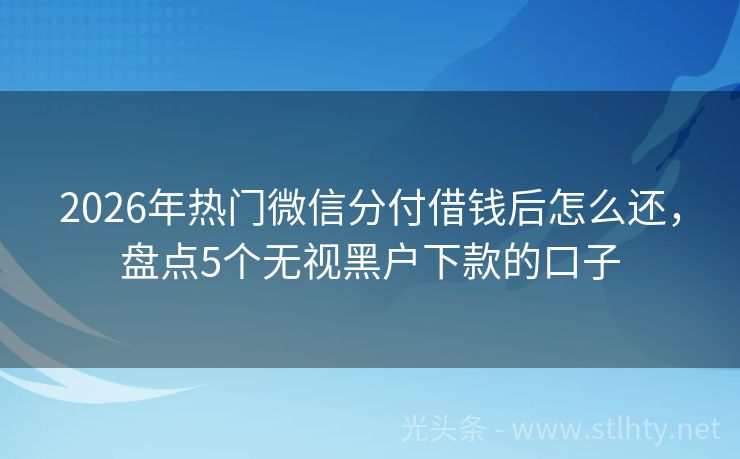 2026年热门微信分付借钱后怎么还，盘点5个无视黑户下款的口子