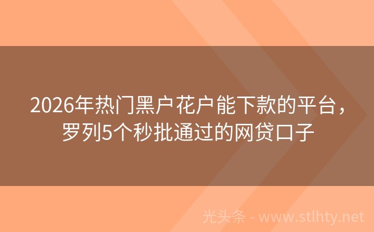 2026年热门黑户花户能下款的平台，罗列5个秒批通过的网贷口子