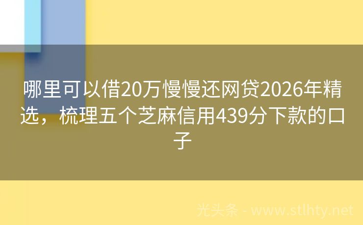 哪里可以借20万慢慢还网贷2026年精选，梳理五个芝麻信用439分下款的口子