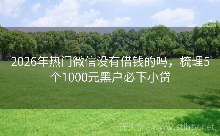 2026年热门微信没有借钱的吗，梳理5个1000元黑户必下小贷