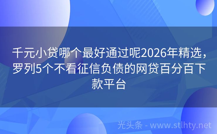 千元小贷哪个最好通过呢2026年精选，罗列5个不看征信负债的网贷百分百下款平台