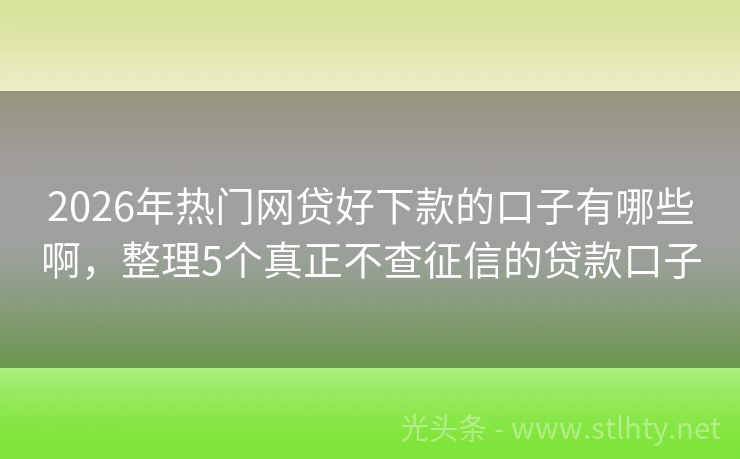2026年热门网贷好下款的口子有哪些啊，整理5个真正不查征信的贷款口子