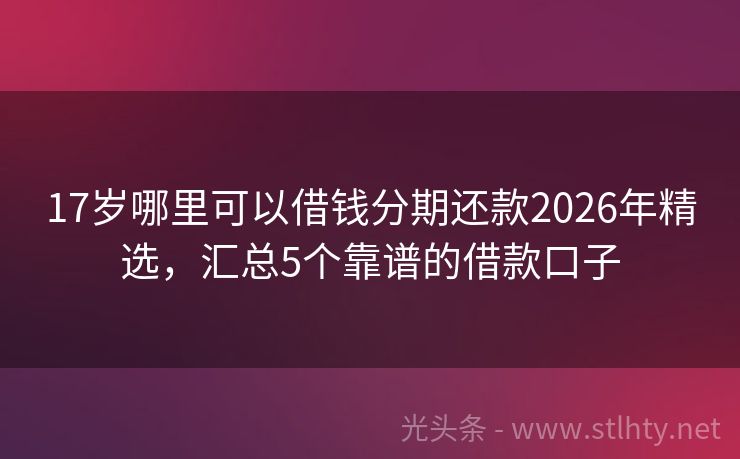 17岁哪里可以借钱分期还款2026年精选，汇总5个靠谱的借款口子