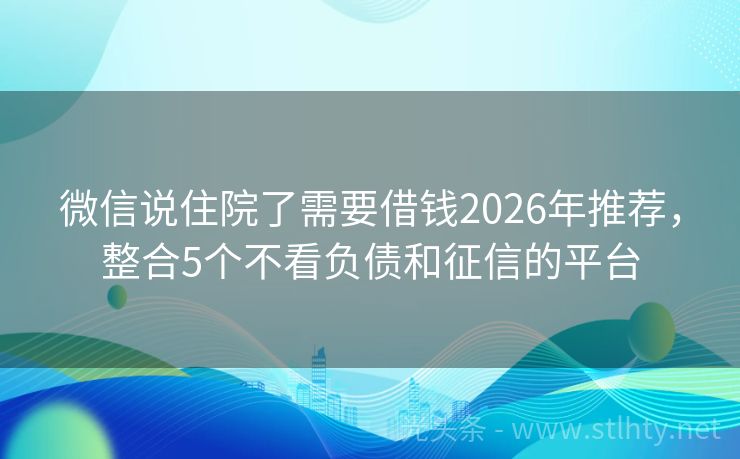 微信说住院了需要借钱2026年推荐，整合5个不看负债和征信的平台