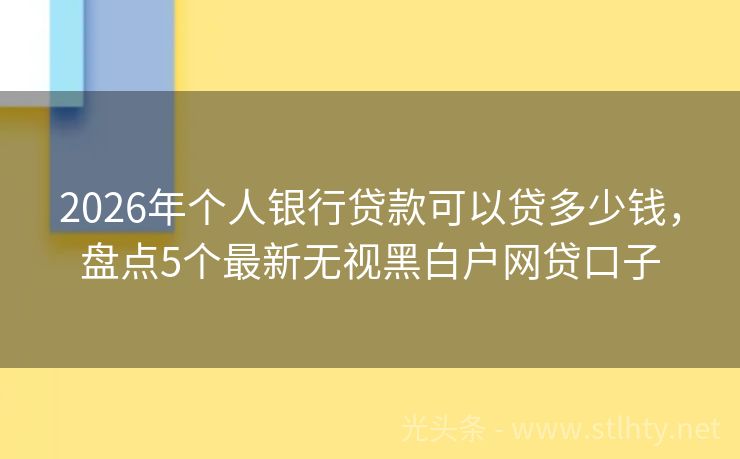 2026年个人银行贷款可以贷多少钱，盘点5个最新无视黑白户网贷口子