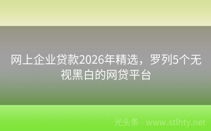 网上企业贷款2026年精选，罗列5个无视黑白的网贷平台