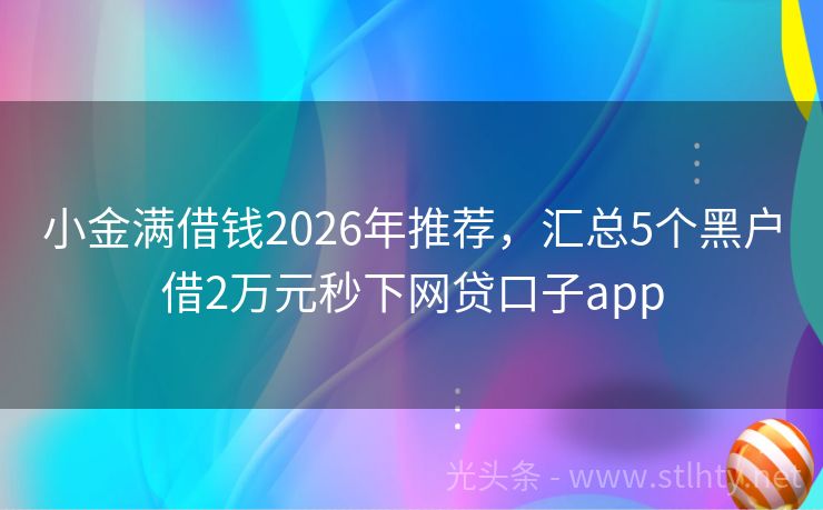 小金满借钱2026年推荐，汇总5个黑户借2万元秒下网贷口子app