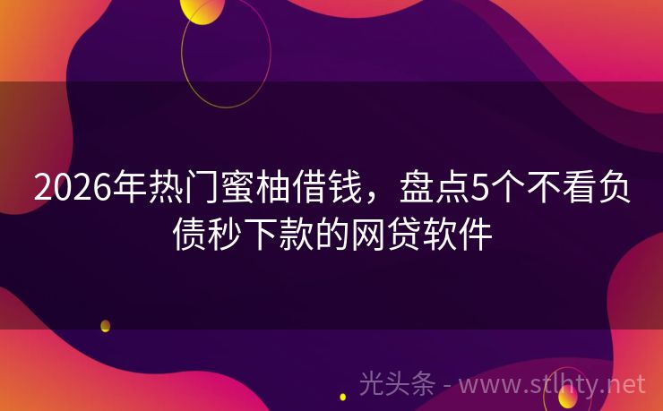 2026年热门蜜柚借钱，盘点5个不看负债秒下款的网贷软件