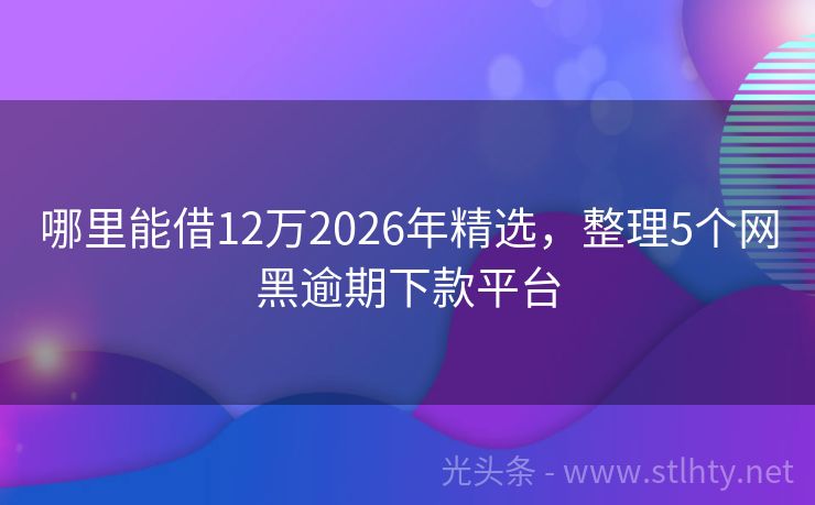 哪里能借12万2026年精选，整理5个网黑逾期下款平台