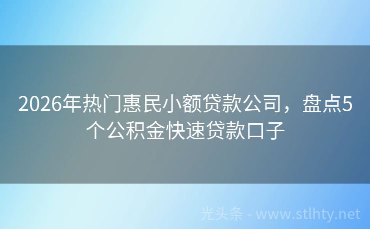 2026年热门惠民小额贷款公司，盘点5个公积金快速贷款口子