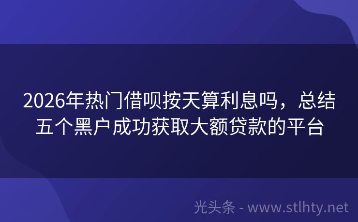 2026年热门借呗按天算利息吗，总结五个黑户成功获取大额贷款的平台