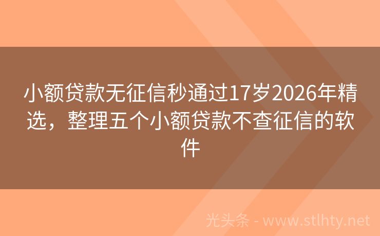 小额贷款无征信秒通过17岁2026年精选，整理五个小额贷款不查征信的软件