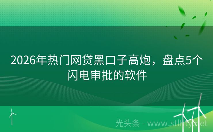 2026年热门网贷黑口子高炮，盘点5个闪电审批的软件