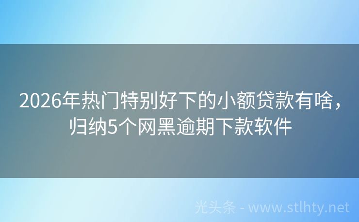 2026年热门特别好下的小额贷款有啥，归纳5个网黑逾期下款软件