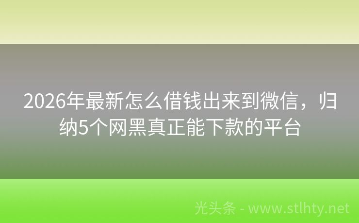 2026年最新怎么借钱出来到微信，归纳5个网黑真正能下款的平台