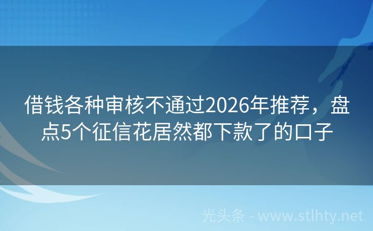 借钱各种审核不通过2026年推荐，盘点5个征信花居然都下款了的口子