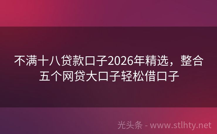不满十八贷款口子2026年精选，整合五个网贷大口子轻松借口子
