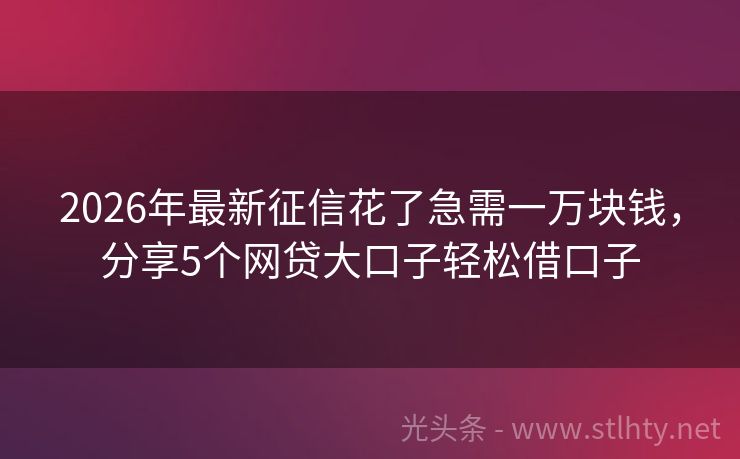2026年最新征信花了急需一万块钱，分享5个网贷大口子轻松借口子