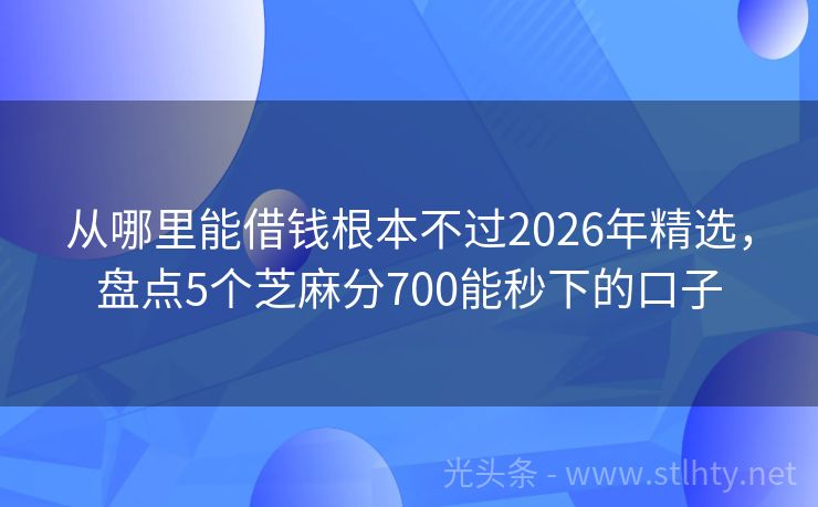 从哪里能借钱根本不过2026年精选，盘点5个芝麻分700能秒下的口子