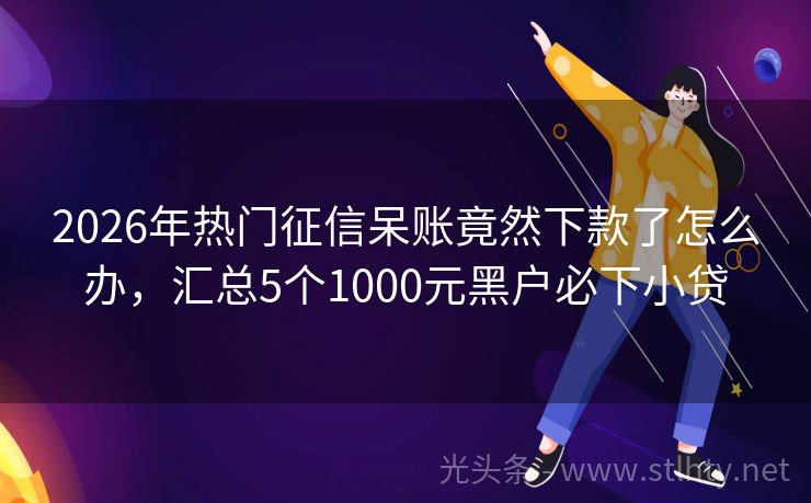 2026年热门征信呆账竟然下款了怎么办，汇总5个1000元黑户必下小贷