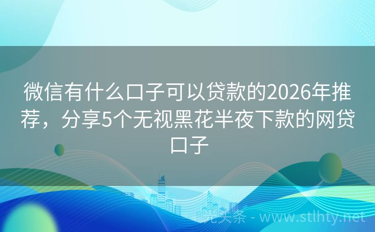 微信有什么口子可以贷款的2026年推荐，分享5个无视黑花半夜下款的网贷口子