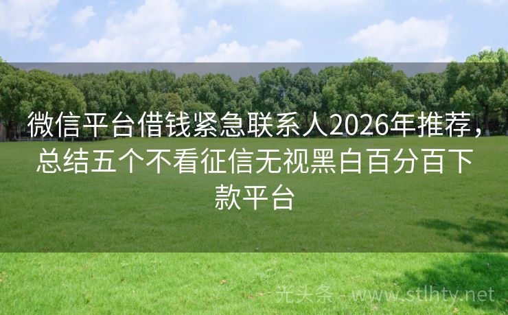 微信平台借钱紧急联系人2026年推荐,总结五个不看征信无视黑白百分百下款平台