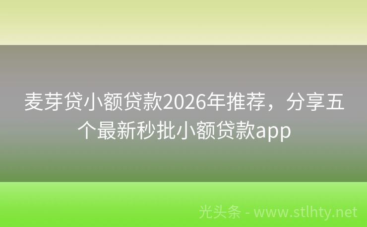 麦芽贷小额贷款2026年推荐，分享五个最新秒批小额贷款app
