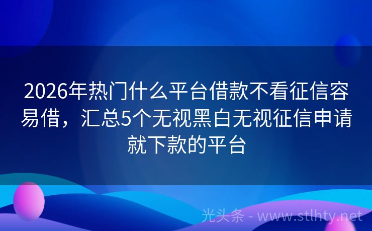 2026年热门什么平台借款不看征信容易借，汇总5个无视黑白无视征信申请就下款的平台