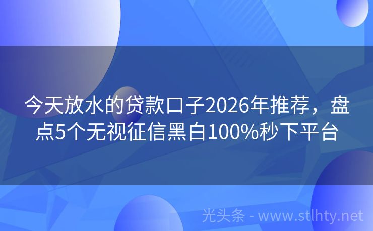 今天放水的贷款口子2026年推荐，盘点5个无视征信黑白100%秒下平台