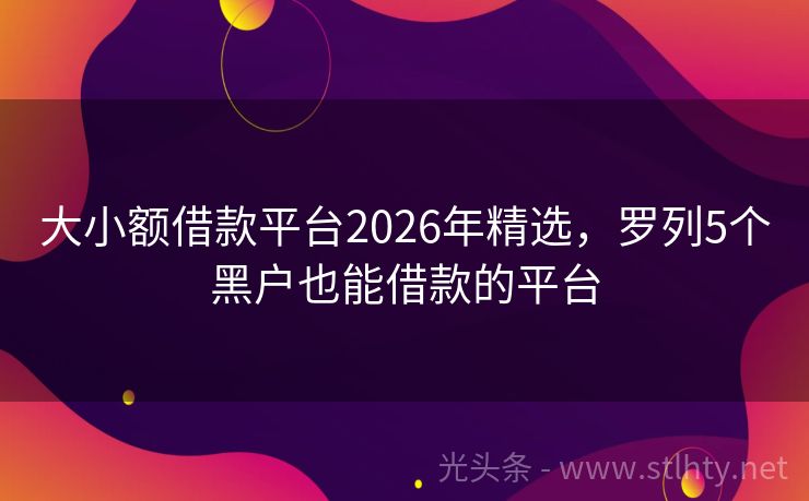 大小额借款平台2026年精选，罗列5个黑户也能借款的平台