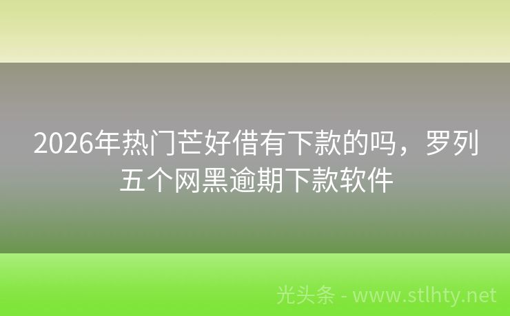 2026年热门芒好借有下款的吗，罗列五个网黑逾期下款软件