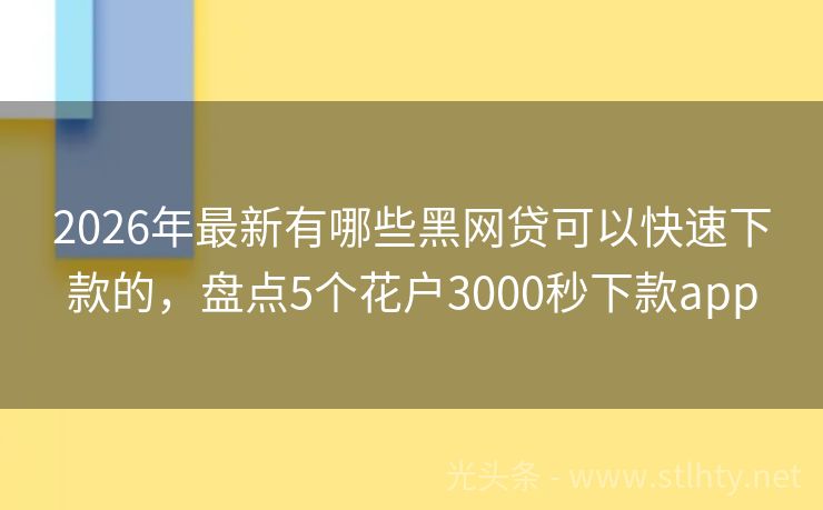 2026年最新有哪些黑网贷可以快速下款的，盘点5个花户3000秒下款app