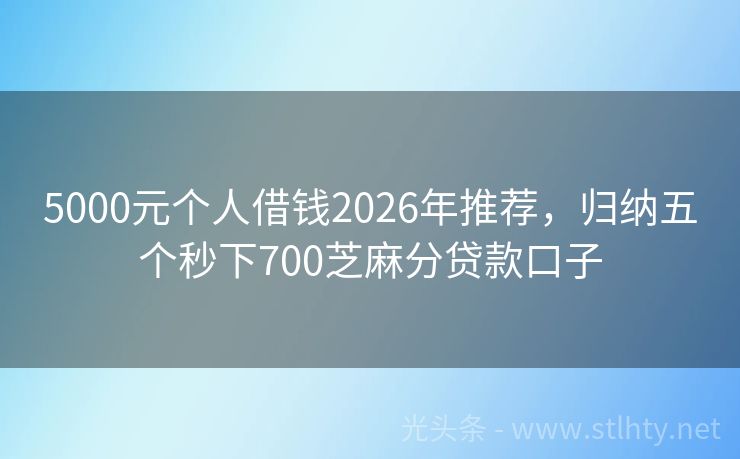 5000元个人借钱2026年推荐，归纳五个秒下700芝麻分贷款口子
