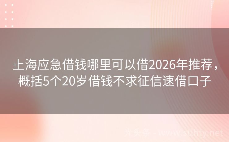 上海应急借钱哪里可以借2026年推荐，概括5个20岁借钱不求征信速借口子